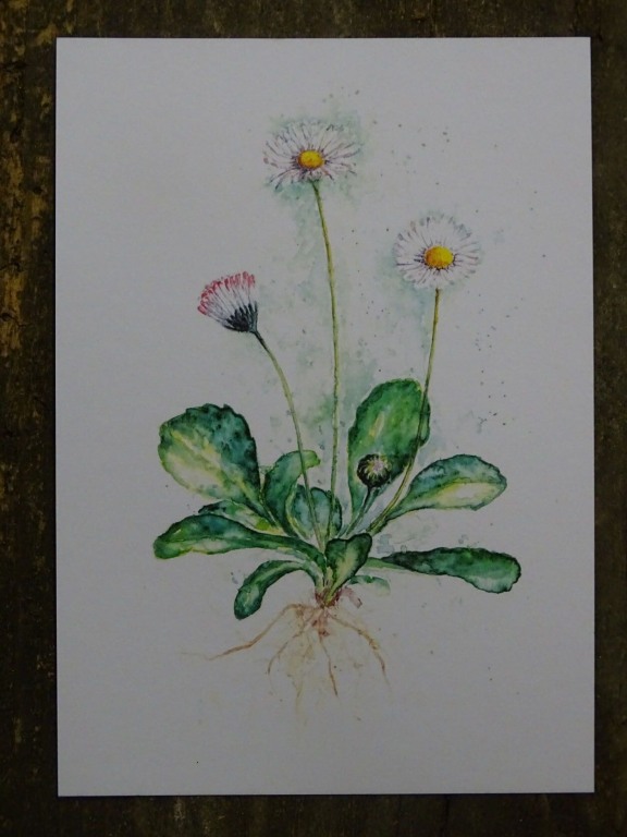 Deko-Pilz Rost